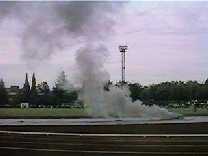 La favorita del coronel